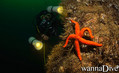foto de buceo