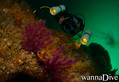 foto de buceo