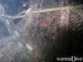 foto de buceo