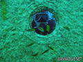 foto de buceo