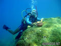 foto de buceo