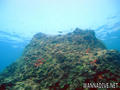 foto de buceo