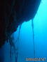 foto de buceo