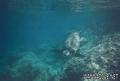 foto de buceo