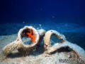 foto de buceo