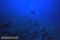 foto de buceo
