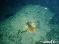 foto de buceo