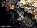 foto de buceo