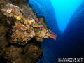 foto de buceo