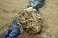 foto de buceo