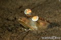 foto de buceo