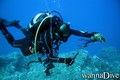 foto de buceo