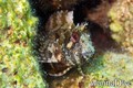 foto de buceo