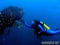 foto de buceo