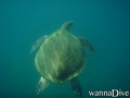 foto de buceo