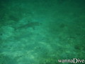 foto de buceo