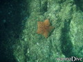 foto de buceo