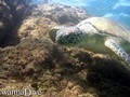 foto de buceo
