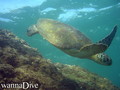 foto de buceo