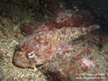 foto de buceo