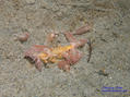 foto de buceo
