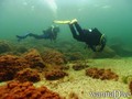 foto de buceo
