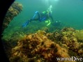 foto de buceo