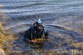 foto de buceo