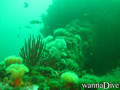 foto de buceo