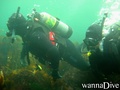 foto de buceo