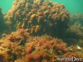 foto de buceo