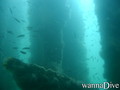 foto de buceo