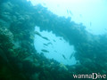 foto de buceo