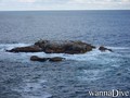 foto de buceo