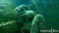 foto de buceo
