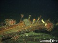 foto de buceo