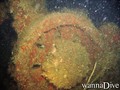 foto de buceo