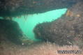 foto de buceo