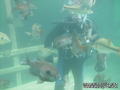 foto de buceo