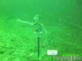 foto de buceo