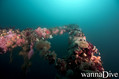 foto de buceo