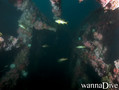 foto de buceo