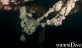 foto de buceo
