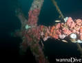 foto de buceo