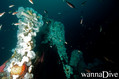 foto de buceo