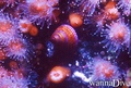 foto de buceo