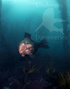 foto de buceo