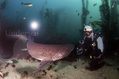 foto de buceo