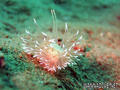 foto de buceo