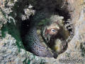 foto de buceo